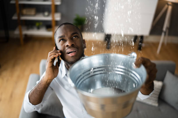 Best Flood damage cleanup  in Dallas, OR