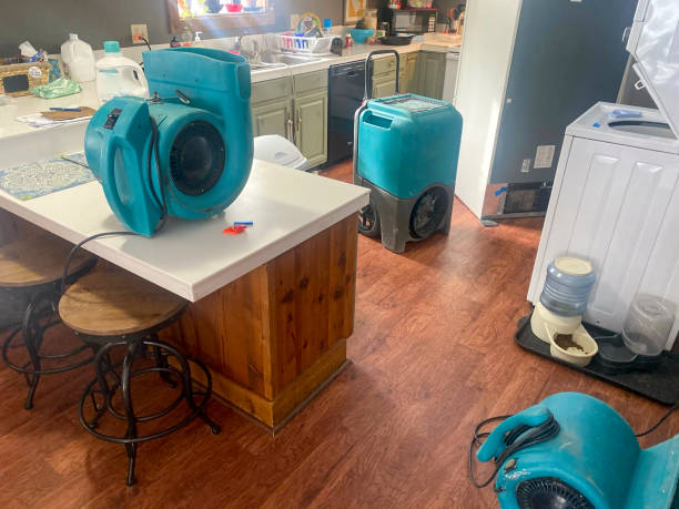 Best Flooded house restoration  in Dallas, OR